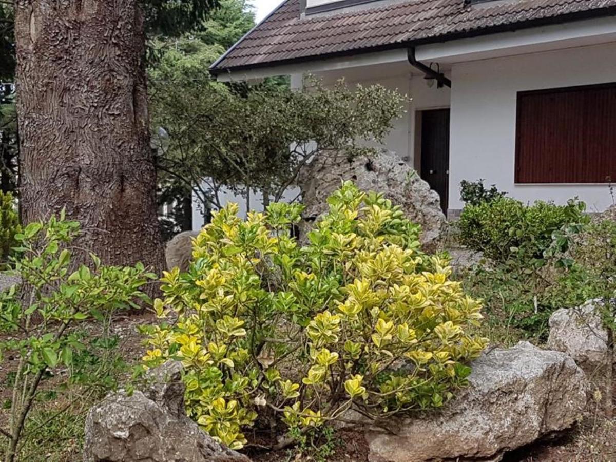Le Conifere Apartment Pignola Exterior photo