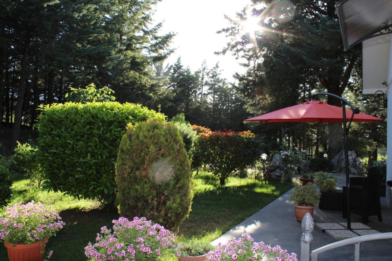 Le Conifere Apartment Pignola Exterior photo